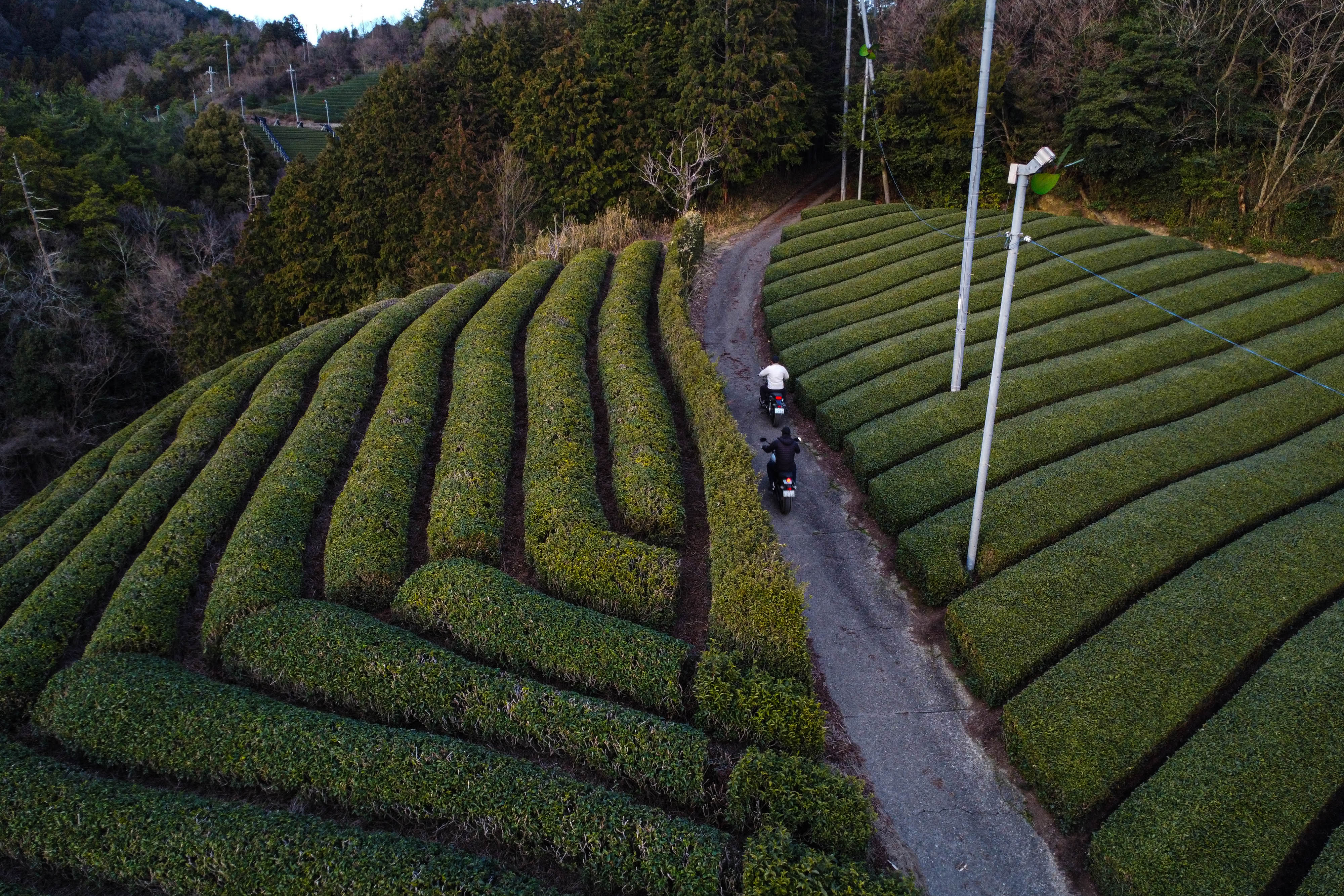 Product background image