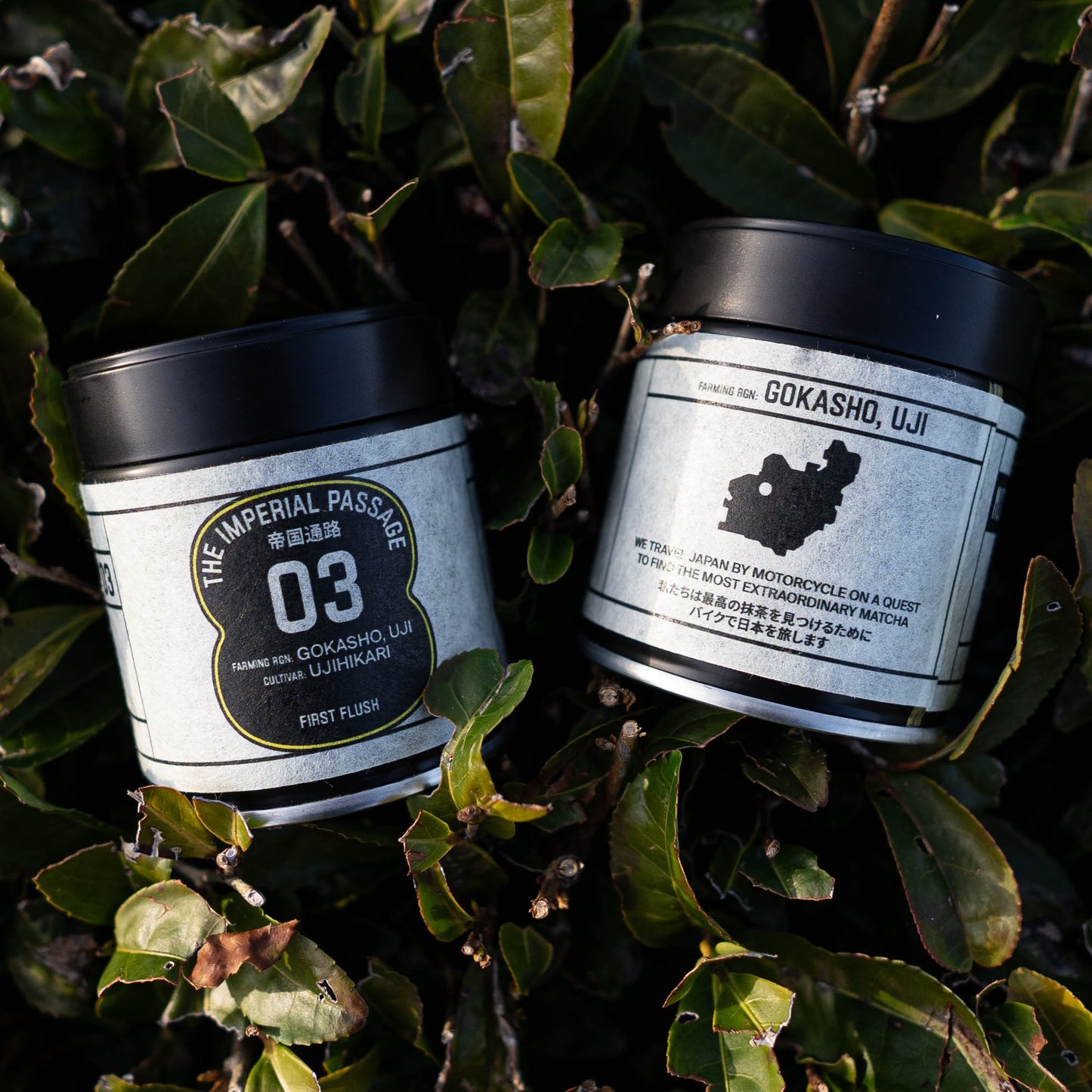 The Imperial Passage